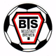 BTS諾伊施塔特logo