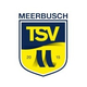 TSV梅爾布施logo