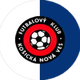 新星新村U19logo